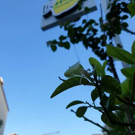 Limon * Kaș