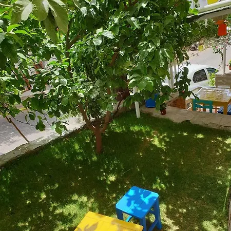 홈스테이 Limon