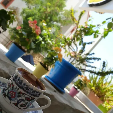 Limon Homestay szállás *